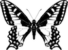 Light Logo